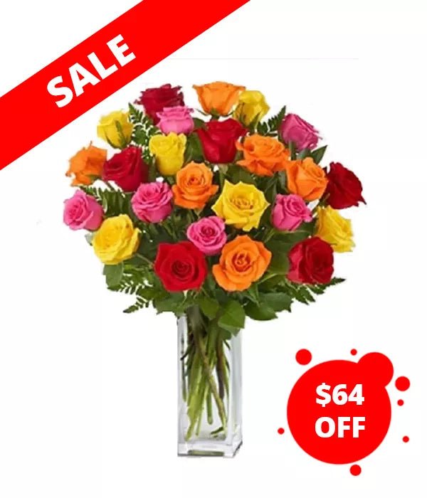 Two Dozen Assorted Roses - Roses - Bloomex Australia