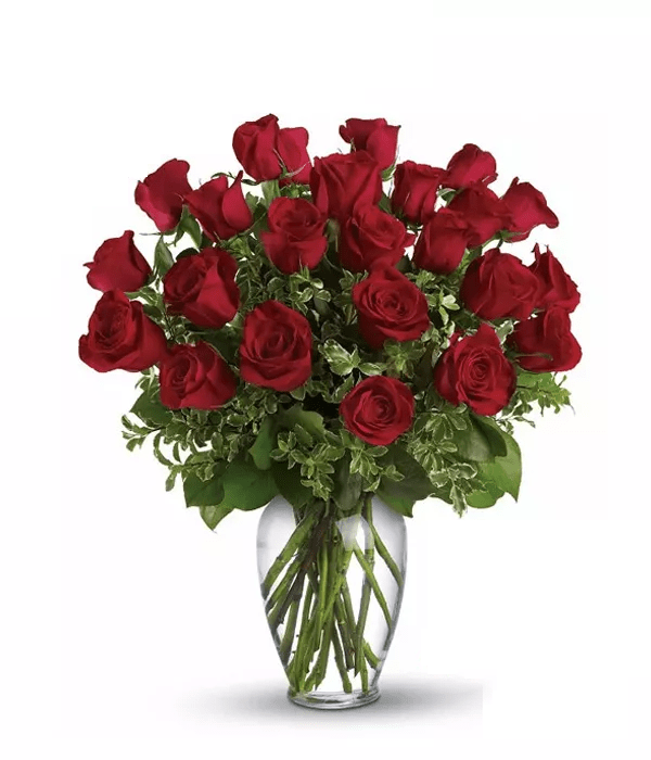 Two Dozen Red Roses - Roses - Bloomex Australia