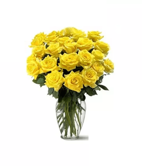 Two Dozen Yellow Roses - Roses - Bloomex Australia