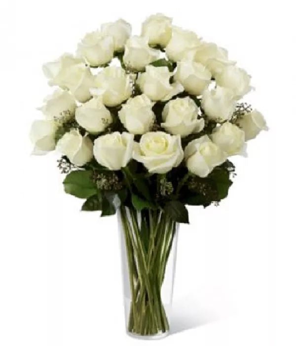 Two Dozen White Roses - Roses - Bloomex Australia