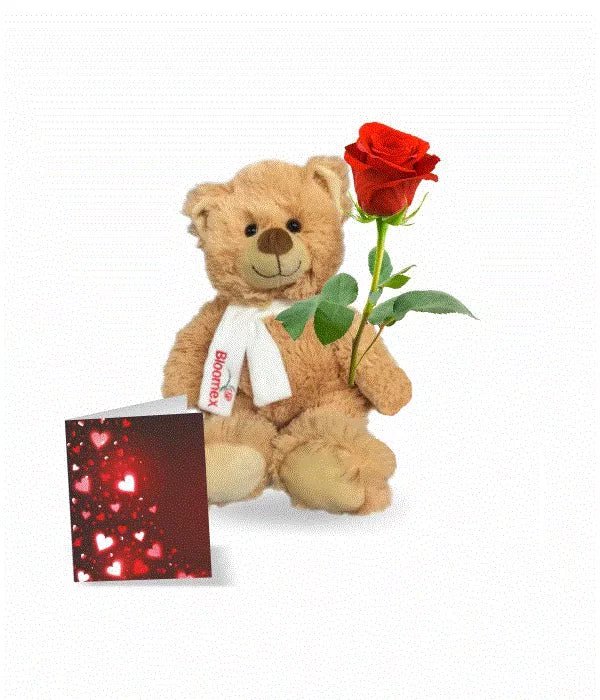 Teddy, Rose & Card Special - Roses - Bloomex Australia