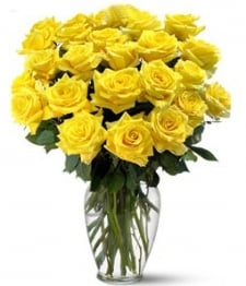 Two Dozen Long Stemmed Yellow Roses