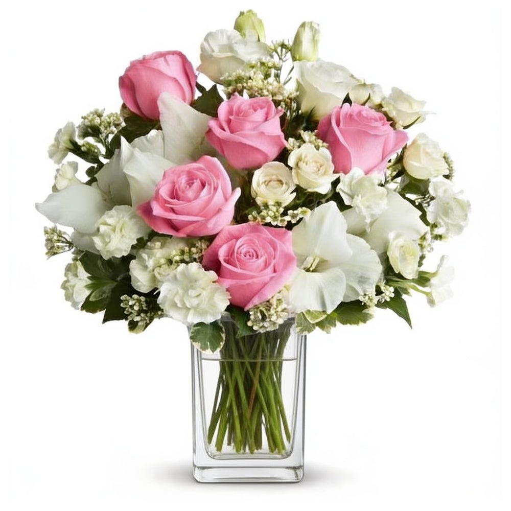 24 Pink and White Roses - Anniversary Flowers - Bloomex Australia