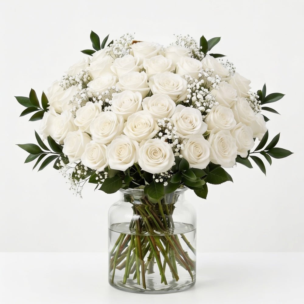 Three Dozen White Roses - Roses - Bloomex Australia