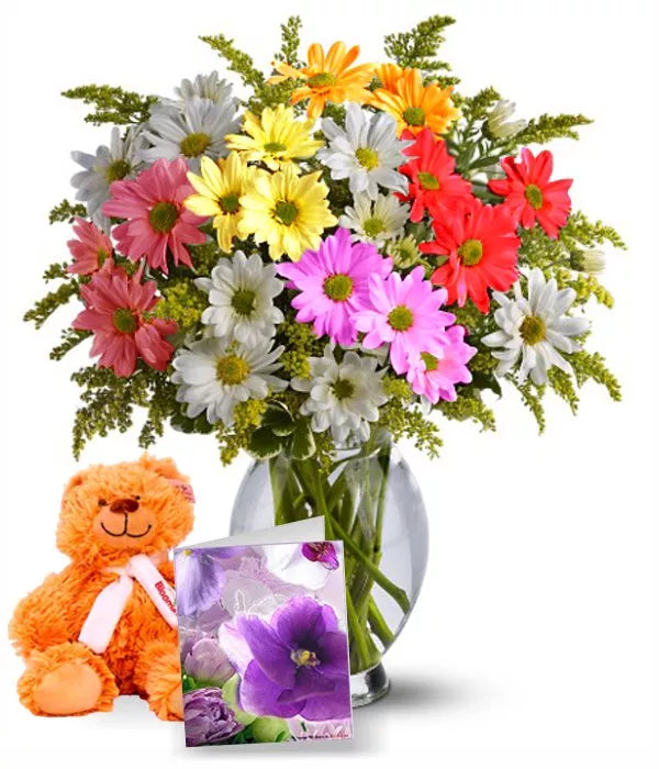 Rainbow Daisy Collection II