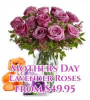 Mothers Day Lavender Roses