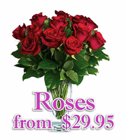 Valentines Roses