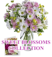 Sweet Blossoms Collection