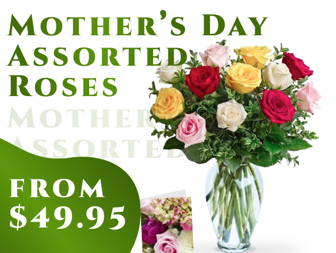 Mothers Day Assorted Roses