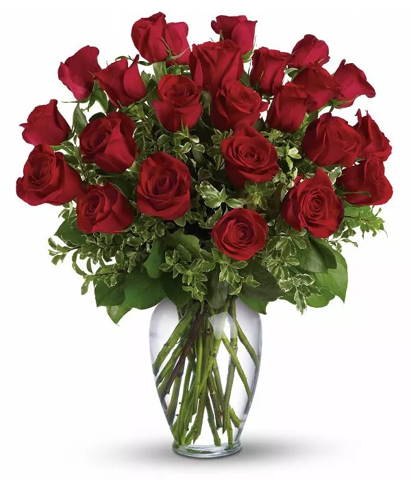 Two Dozen Long Stem Red Roses