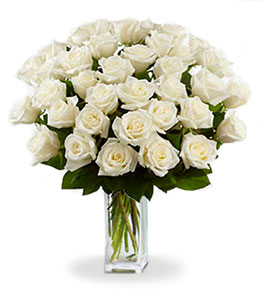 36 Long Stemmed White Roses