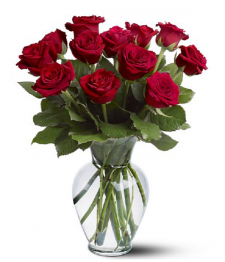 Dozen Red Roses Special B