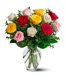 Dozen Long Stemmed Assorted Roses