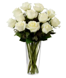 Dozen Long Stemmed White Roses