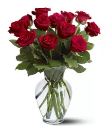 Dozen Long Stemmed Red Roses