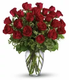 Two Dozen Long Stem Red Roses