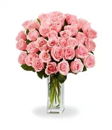 name: Three Dozen Long Stem Pink Roses