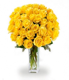 36 Long Stemmed Yellow Roses