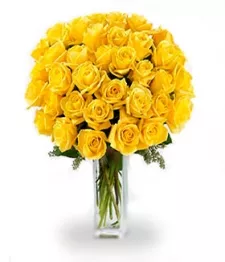 Three Dozen Long Stem Yellow Roses