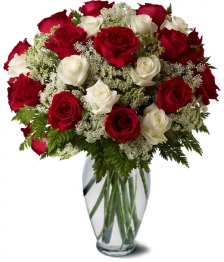 name: Premium White and Red Roses