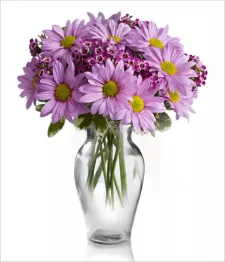 name: Classic Mauve Daisy Bouquet