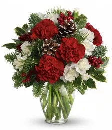 One Dozen Christmas Carnations