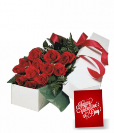 Dozen Boxed Red Roses & FREE Card