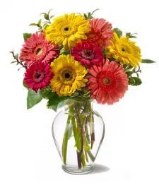 name: Gorgeous Gerberas