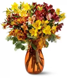 name: Alstroemeria Brights