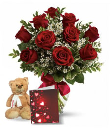 Ten Red Roses, Card & Teddy