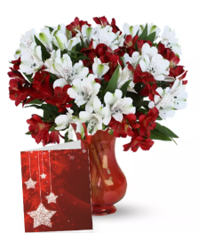 Holiday Alstroemeria, Vase & Card