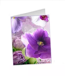 Full Size Greeting Card