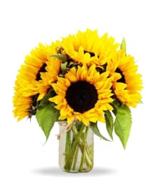 Simply Sunflowers in Mason Jar