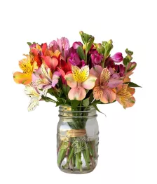 name: Thirty Blooms of Alstroemeria in Mason Jar