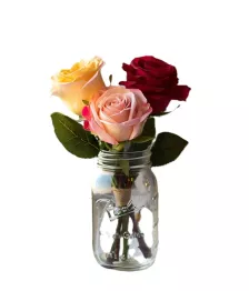 name: Assorted Roses in Mason Jar