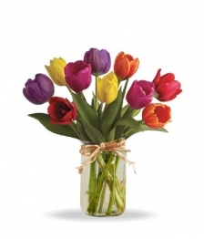 Tulips in Mason Jar