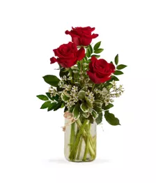 Radiant Roses in Mason Jar