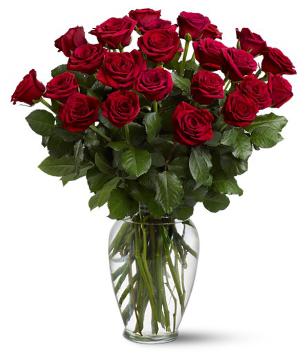 24 Premium Red Roses