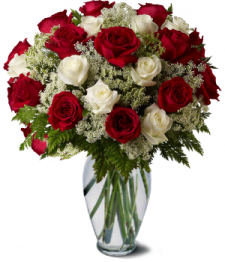 Premium White and Red Roses