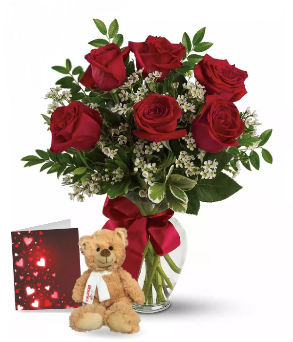 Half Dozen Red Roses, Card & Teddy