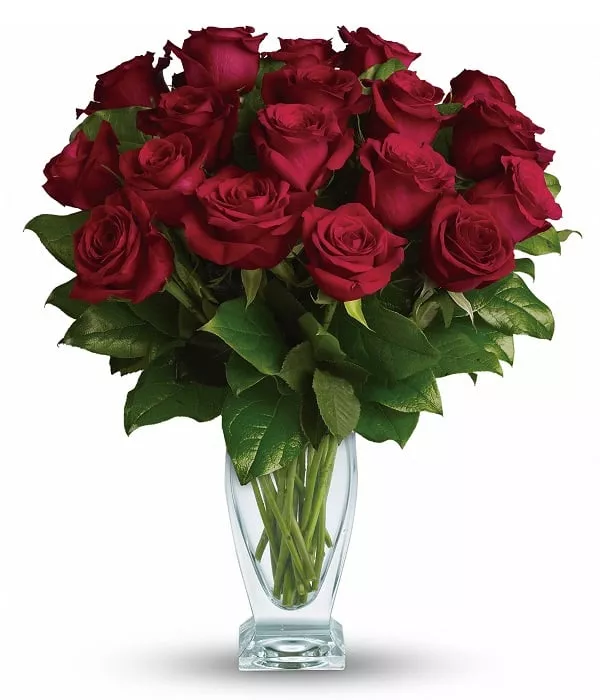 Eighteen Long Stem Red Roses