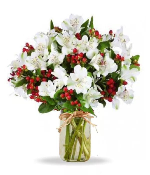 100 Blooms of Holiday Alstroemeria in Mason Jar