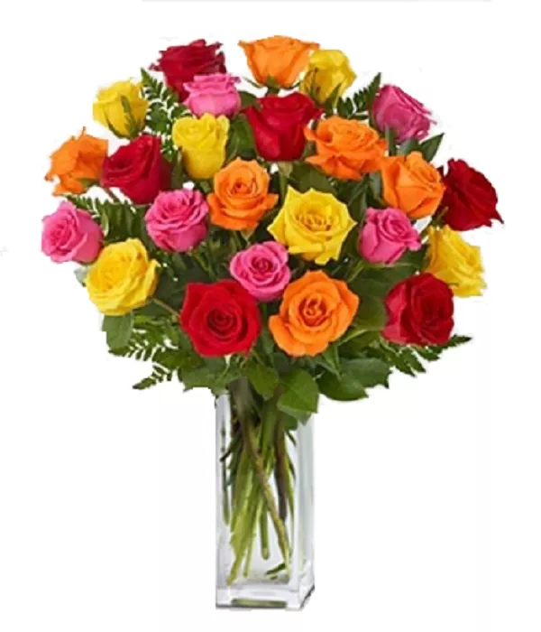 Two Dozen Long Stem Assorted Roses