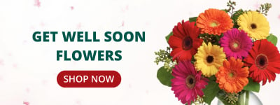 Get Well Soon Flowers Delivery